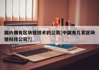 国内拥有区块链技术的公司[中国有几家区块链科技公司?]