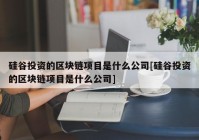 硅谷投资的区块链项目是什么公司[硅谷投资的区块链项目是什么公司]