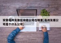 安徽亳州友盾区块链公司在哪里[亳州友盾公司是个什么公司]